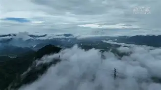 mk体育团队_浙江外线投射稳定器厂家